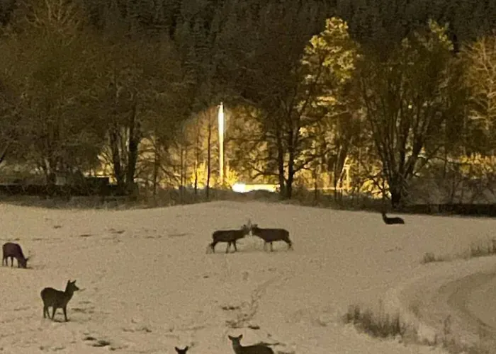 Spacious And Luxurious House With Stunning Views Appartement *